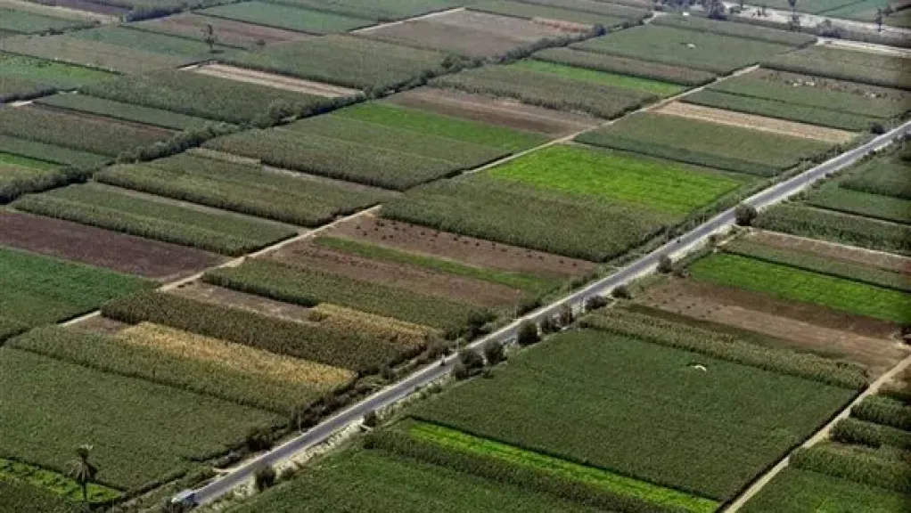 الداخلية تكشف تفاصيل استيلاء مستأجر على أرض زراعية بالقوة في الغربية