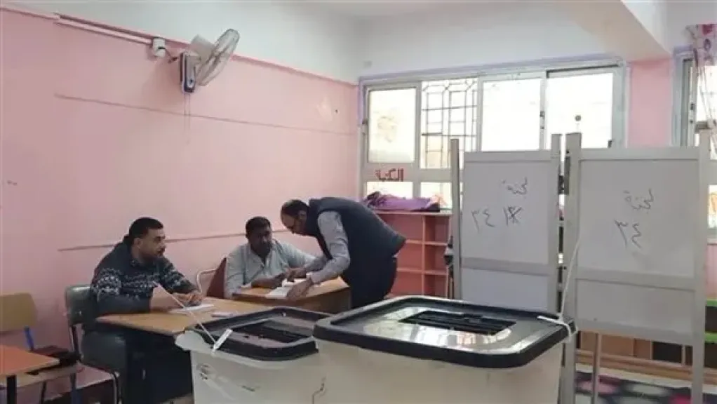 توافد أهالي المنيل على اللجان الانتخابية