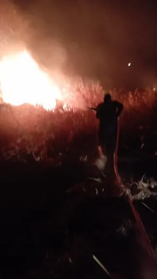 حريق بمزرعة الصرف الصحي بالكولا سوهاج دون إصابات