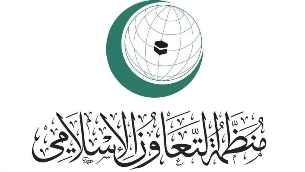 الأمين العام للتعاون الإسلامي يشيد بالدور الريادي لمصر في دعم العمل المشترك