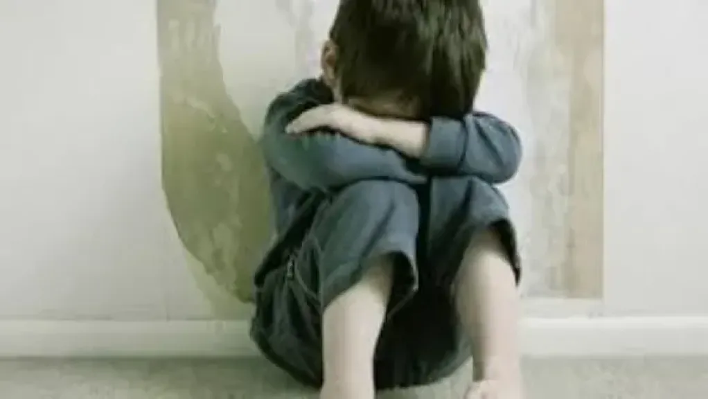 تعاون بين الإفتاء والقومي للطفولة لتعزيز الوعي المجتمعي بحماية الأطفال