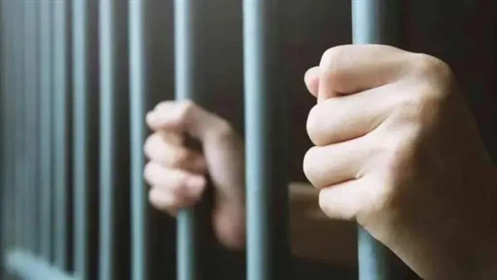 تأجيل نظر استئناف عاطلين على حكم حبسهما 3 سنوات