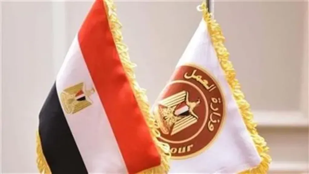 العمل: 1100 فرصة عمل جديدة بمشروع الضبعة