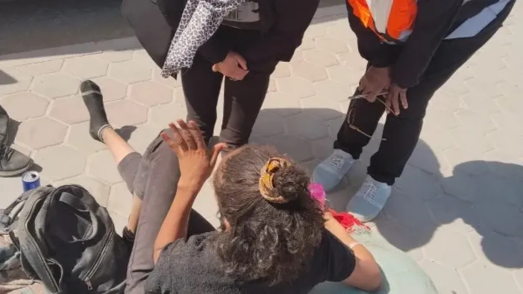 التضامن: فريق التدخل السريع وفرقه المحلية تعامل مع 519 بلاغًا خلال نوفمبر الماضي