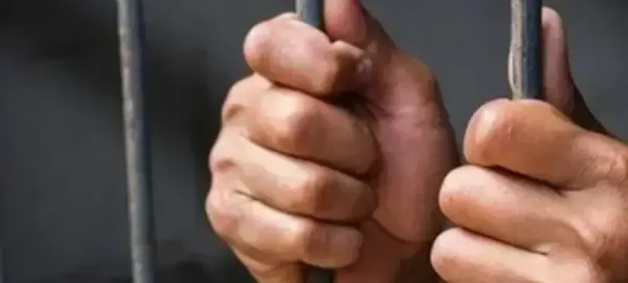 الأمن يكشف ملابسات الاعتداء على كلب ضال بالزيتون ويضبط المتهم