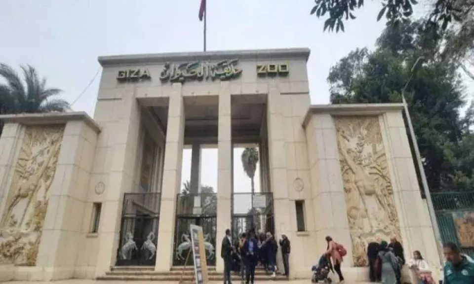 الحكومة تعلن موعد إعلان أسعار تذاكر حديقتي الحيوان والأورمان