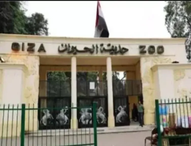 مجلس الوزراء: القطاع الخاص سيتولى إدارة حديقتي الحيوان والأورمان بالجيزة.. والافتتاح التجريبي عام 2026