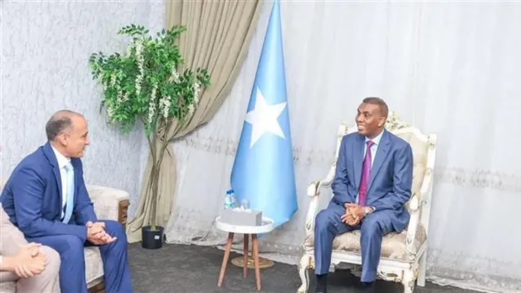 السفير المصري في مقديشيو يلتقي رئيس الوزراء ووزير الدفاع الصومالي