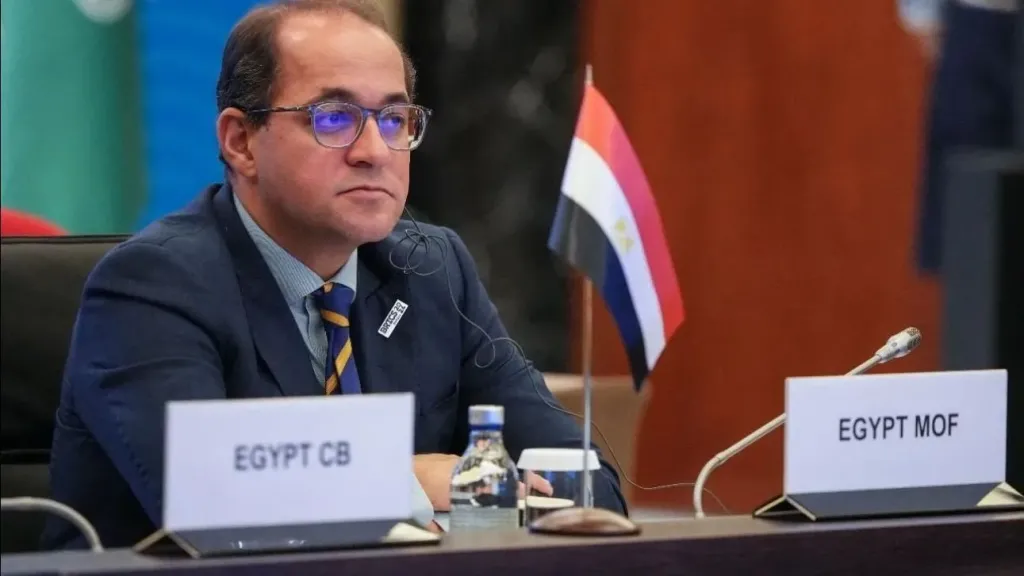 تفاصيل استراتيجية وزارة المالية لتطوير الجمارك بالتوازي مع تطبيق منظومة ACI