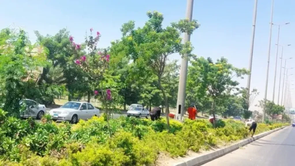 إنشاء حديقة على الطراز التركي في الإسكندرية