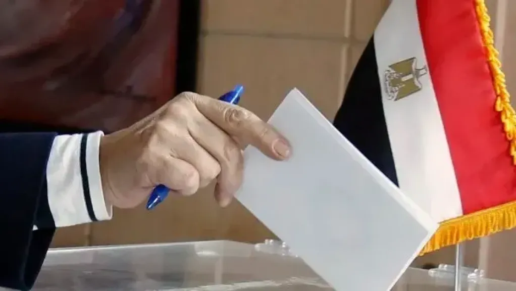 31 طعنا على نتيجة الـ19 دائرة الملغاة في انتخابات مجلس النواب