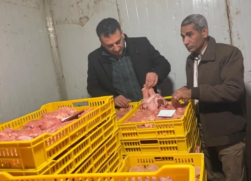 قبل طرحها للبيع بأسواق المنوفية.. ضبط جزار ذبح ماشية نافقة بالشهداء