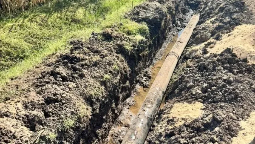 أكثر من 600 فدان.. الزراعة تواصل أعمال تطوير ري قصب السكر بقنا