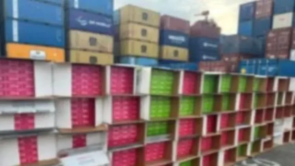 داخل 10 حاويات.. إحباط محاولة تهريب كمية كبيرة من السجائر الإلكترونية