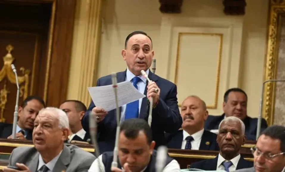 برلمانى يطالب الحكومة بوقف التحايل على حقوق العمال داخل الشركات والمؤسسات التنفيذية