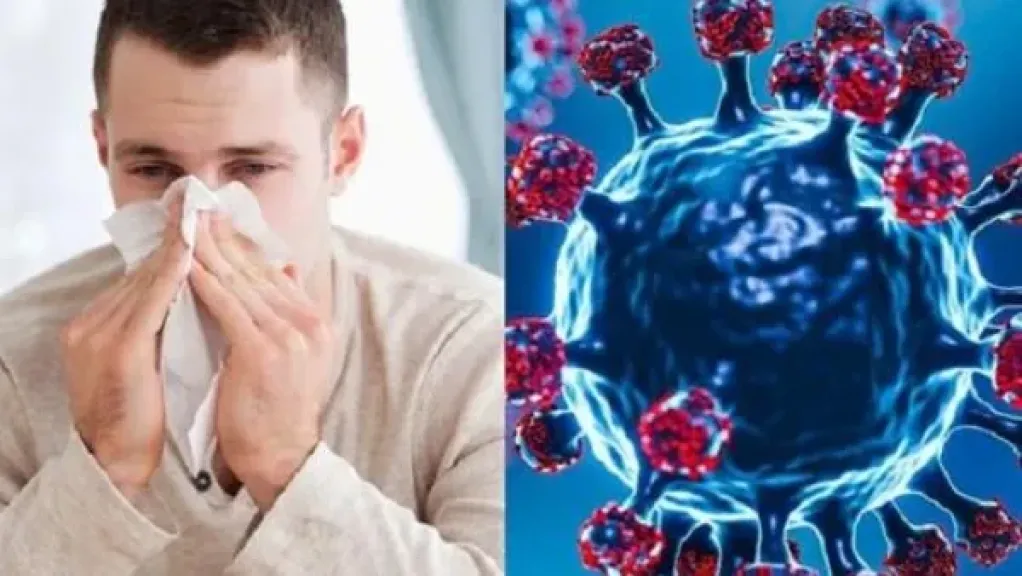 المصل واللقاح: H1N1 يمثل 64% من الفيروسات التنفسية المنتشرة حاليًا