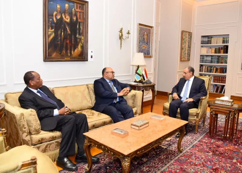 وزير الخارجية يجرى مباحثات مع نظيره التنزاني