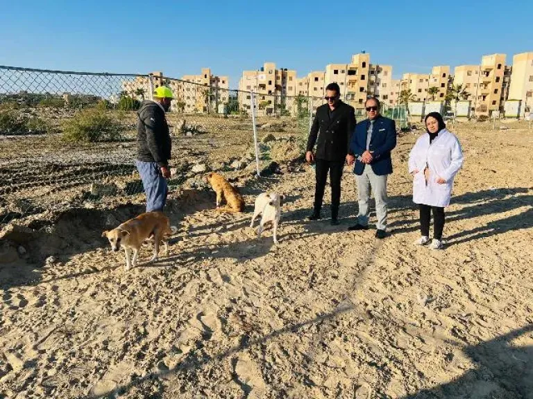 محافظة الدقهلية توفر مكانا لإيواء الكلاب الحرة وإطعامها بمدينة جمصة