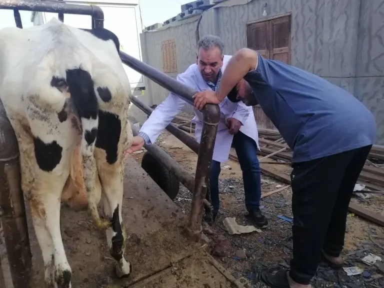 قافلة بيطرية مجانية لعلاج الحيونات والطيور بقرية الحصة بطوخ