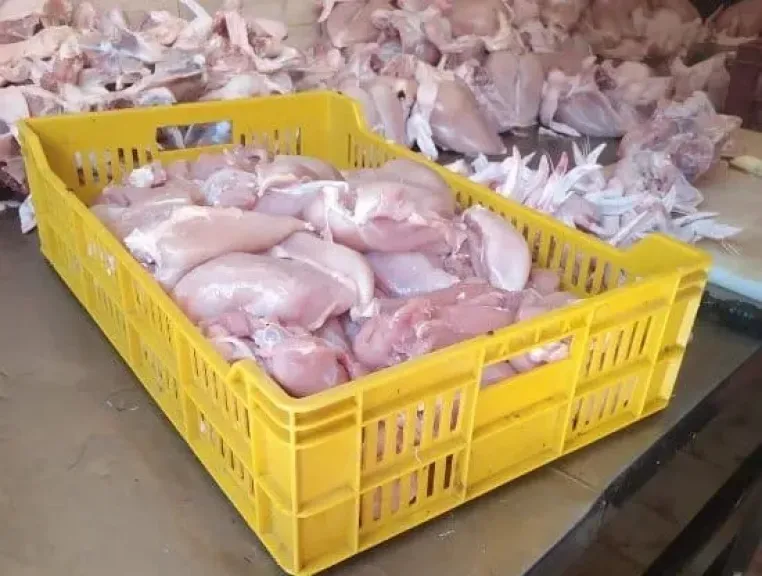 ضبط 1.5 طن منتجات دواجن وبسطرمة مجهولة المصدر بشبرا الخيمة