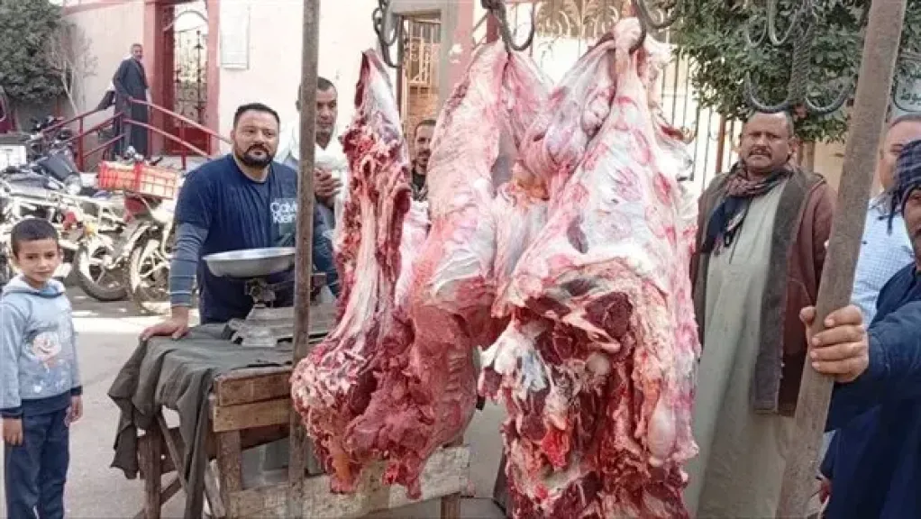 ضبط لحوم بلدية مذبوحة خارج المجازر الحكومية في حملات تموينية بكفرالشيخ