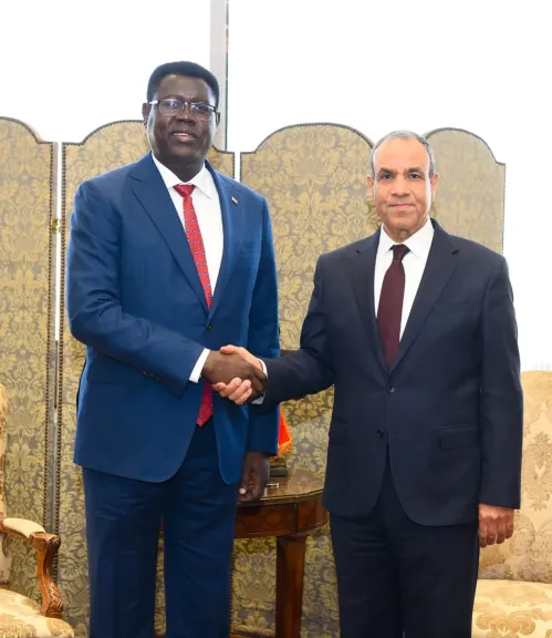 مشاورات سياسية بين وزير الخارجية ونظيره في جنوب السودان