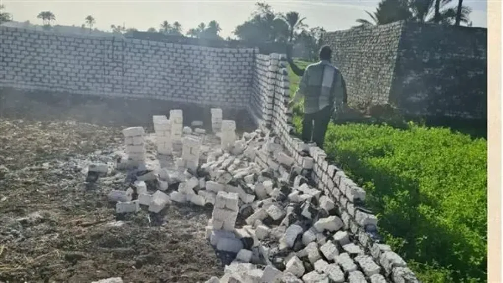 الزراعة: الدولة تراعي البعد الاجتماعي عند تحديد القيم الإيجارية للأراضي الزراعية