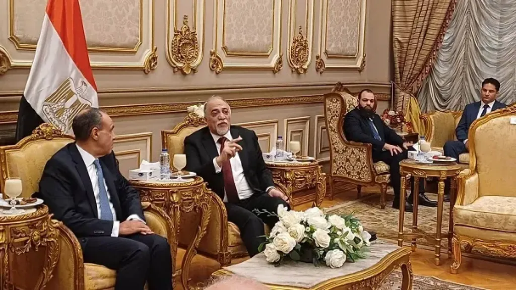 عبدالهادي القصبي: وزير الخارجية يتمتع بذكاء شديد يوظفه لصالح الدولة المصرية