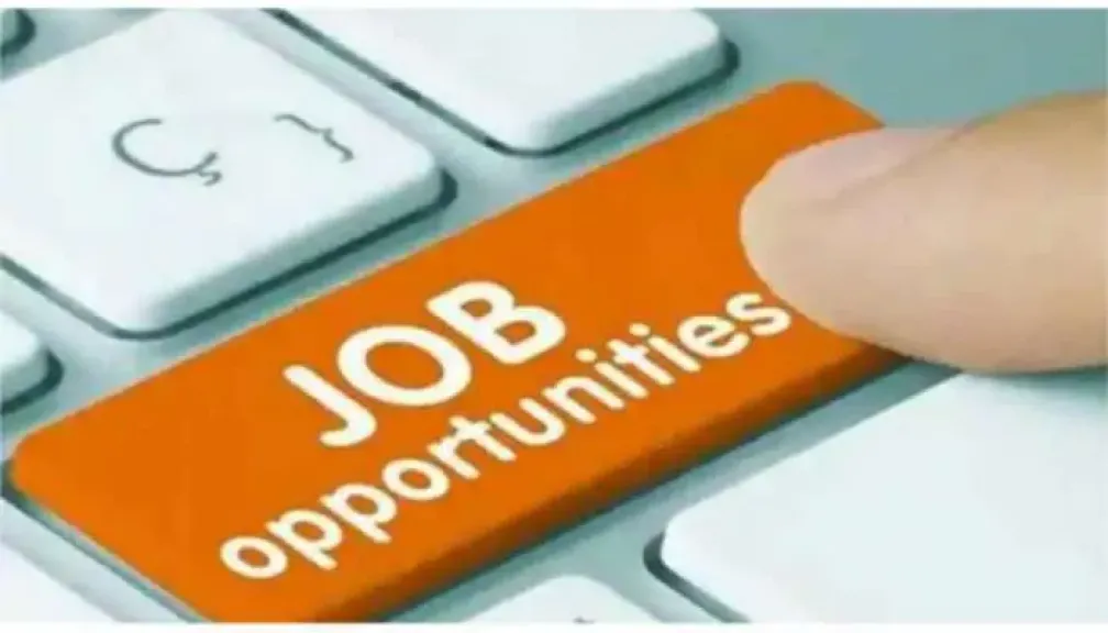 وظائف خالية في بنك HSBC مصر.. التفاصيل وشروط التقديم