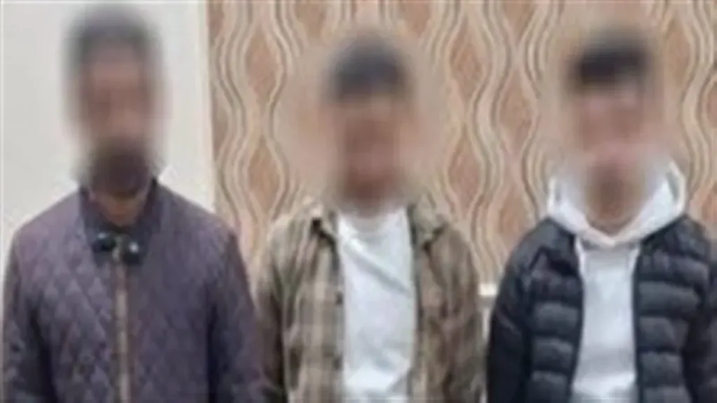 الداخلية تضبط 3 أشخاص بحوزتهم ملصقات دعاية بمحيط لجان البحيرة