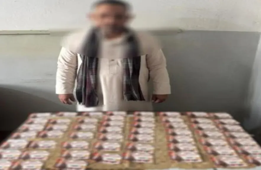 ضبط شخص أثناء توزيع كروت دعائية انتخابية في دمنهور بالبحيرة