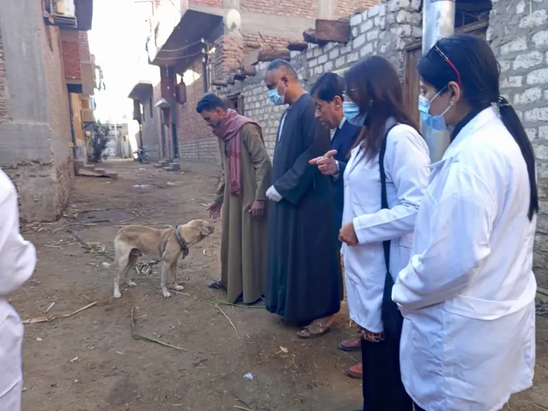 الفلاحين: قافلة وزراة الزراعة حصنت عشرات الكلاب بمركز إسنا من مرض السعار| صور