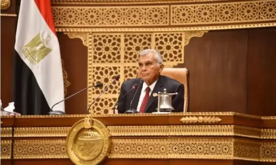 رئيس مجلس الشيوخ يستقبل سفيرة البحرين بالقاهرة لتعزيز التعاون المشترك