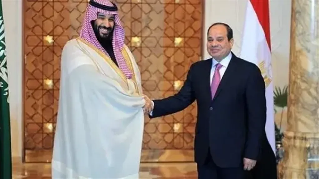 خبير علاقات دولية: جولات الرئيس السيسي في 2025 رسخت مكانة مصر