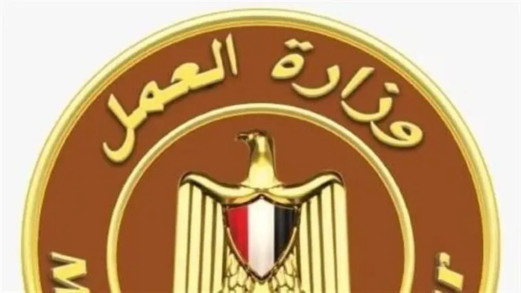 خلال 7 أيام.. وزارة العمل تحرر 280 محضرًا لمخالفات تطبيق الحد الأدنى