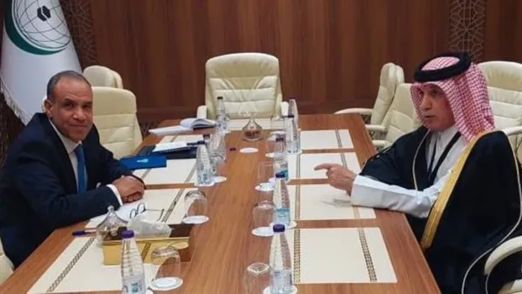 وزير الخارجية يلتقي نظيره القطري لبحث التطورات الإقليمية