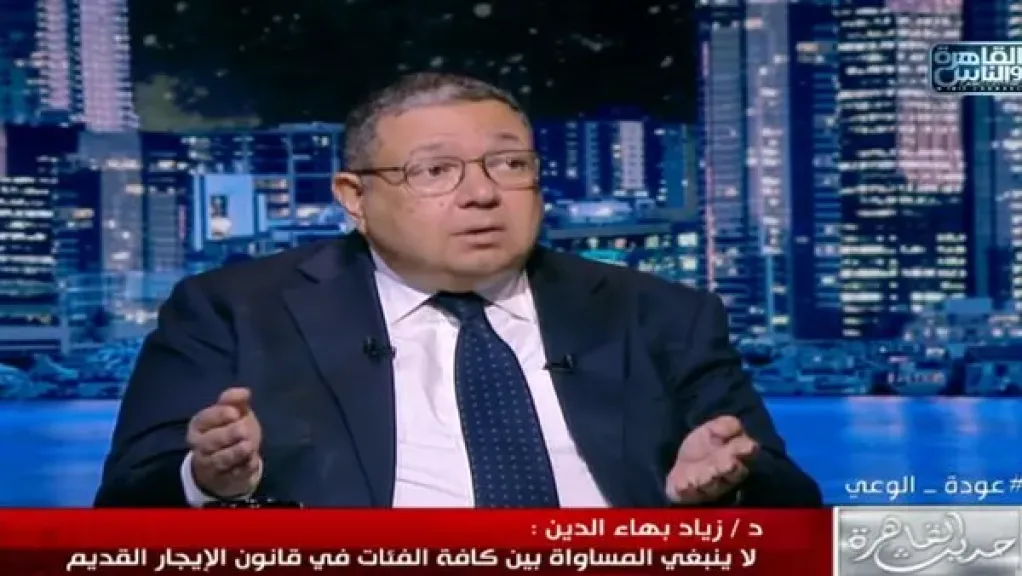 نائب رئيس الوزراء الأسبق: الاقتصاد المصري يستطيع العيش بدون صندوق النقد الدولي