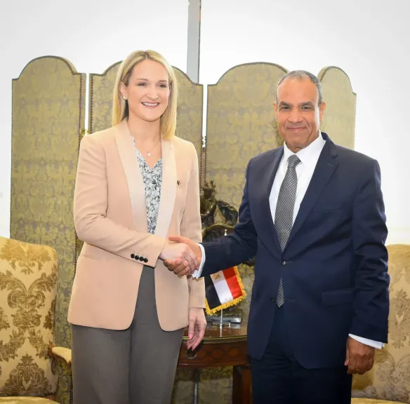 مشاورات سياسية بين مصر وأيرلندا لدعم العلاقات الثنائية والتشاور حول التطورات الإقليمية