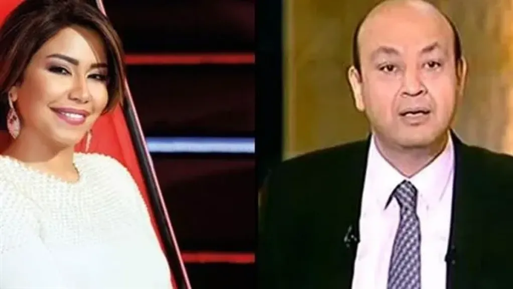 أمور معقدة.. عمرو أديب: كل اللي اتقال عن شيرين عبدالوهاب غلط