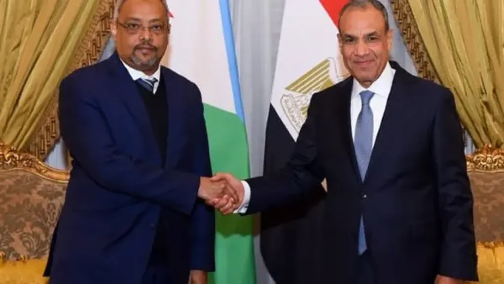 وزير الخارجية يبحث مع نظيره الجيبوتي سبل تعزيز العلاقات الثنائية وتطورات الأوضاع في منطقة القرن الأفريقي