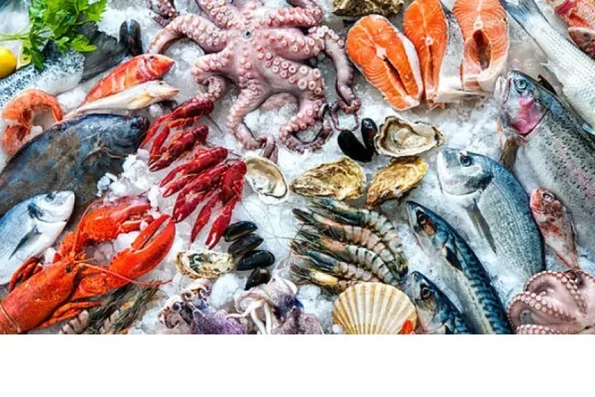 تراجع جماعي في أسعار الأسماك والجمبري بالأسواق.. البلطي يسجل 68 جنيهًا اليوم السبت 17 يناير