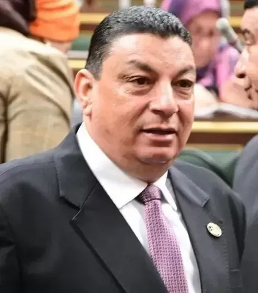 سامي نصر الله: جولة الرئيس السيسي الخليجية تعزز الأمن العربي ورسالة دعم للأشقاء العرب