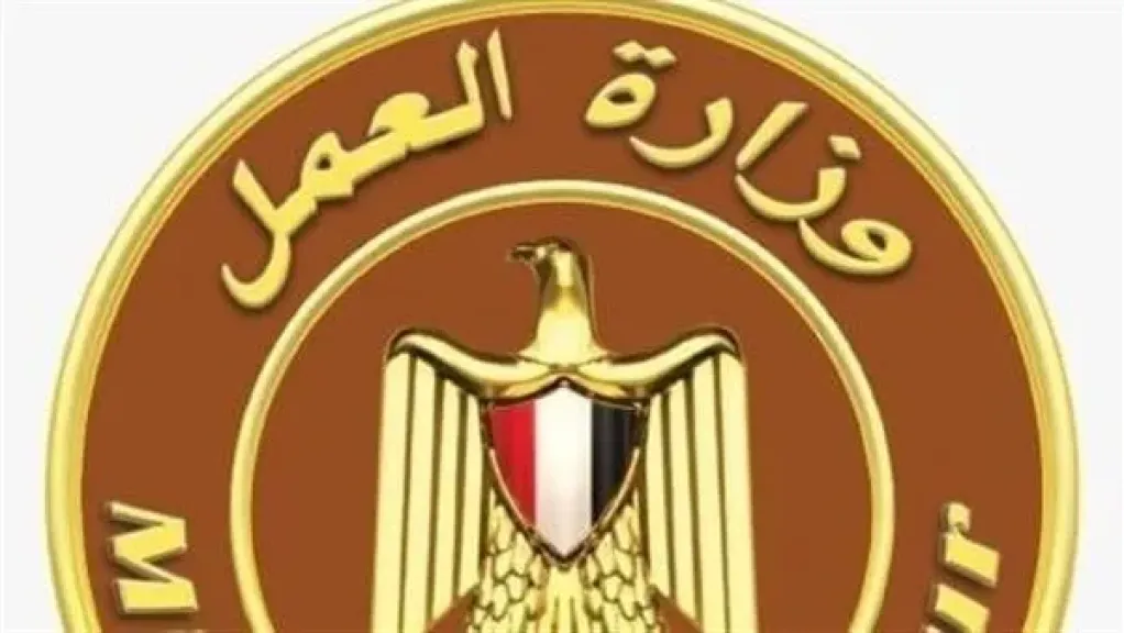 وزارة العمل تنظم سلسلة ندوات بالمحافظات.. التفاصيل