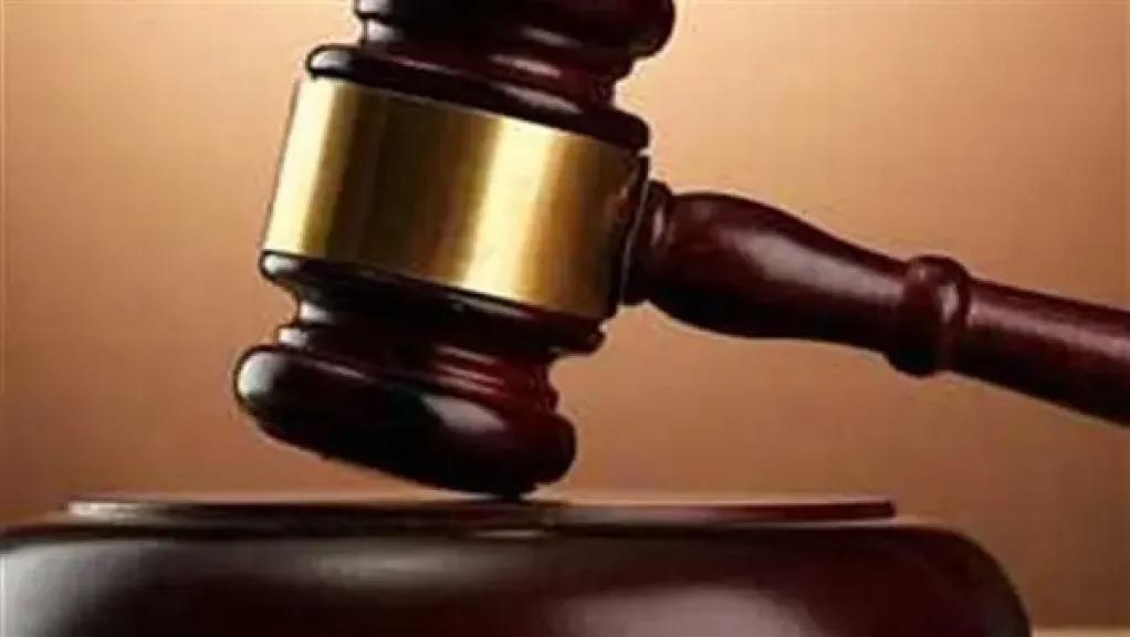 اليوم.. أولى جلسات محاكمة نائبة سابقة بتهمة دهس شاب في القاهرة