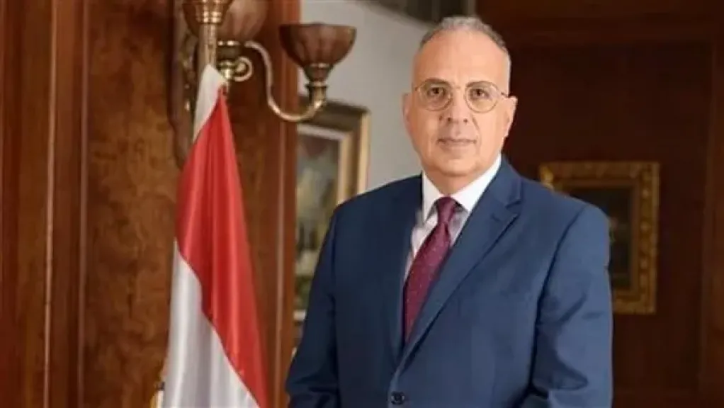 مصر واليابان تتوليان الرئاسة المشتركة للمسار الثالث بمؤتمر الأمم المتحدة للمياه 2026