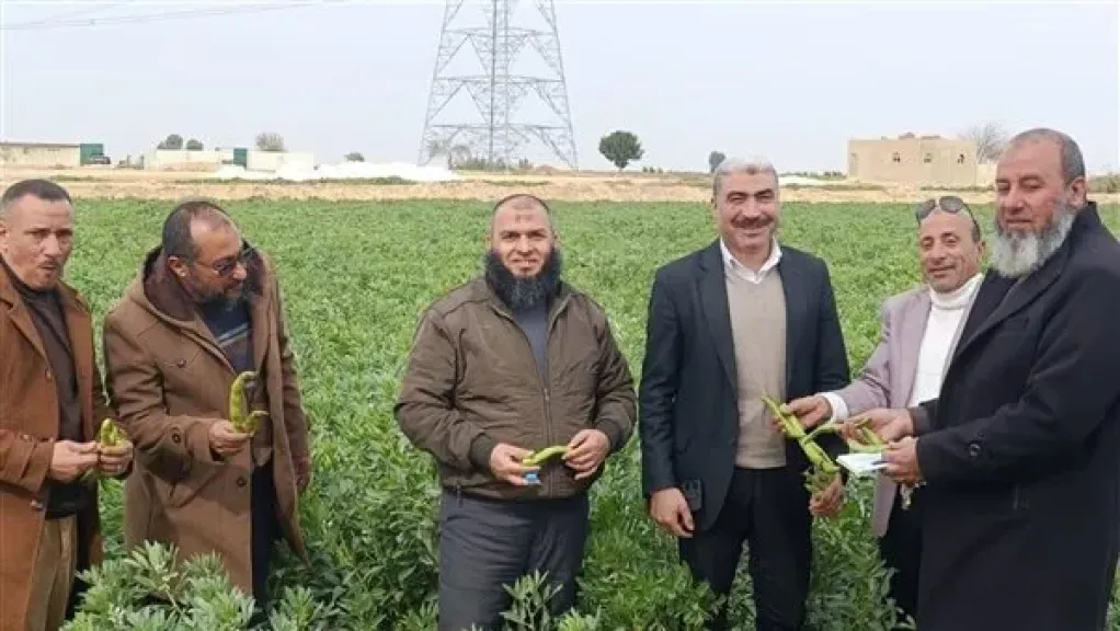 ”الزراعة” تستعرض جهود استصلاح الأراضي خلال الأسبوع الماضي