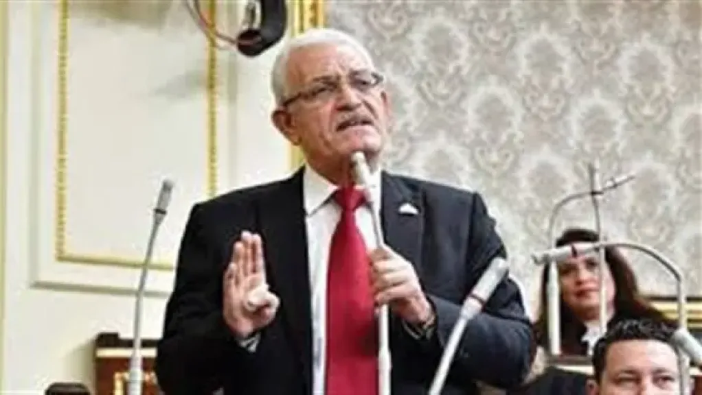 برلماني: قانون الكهرباء بحاجة إلى شفافية وناقشنا المواد الأولية فقط