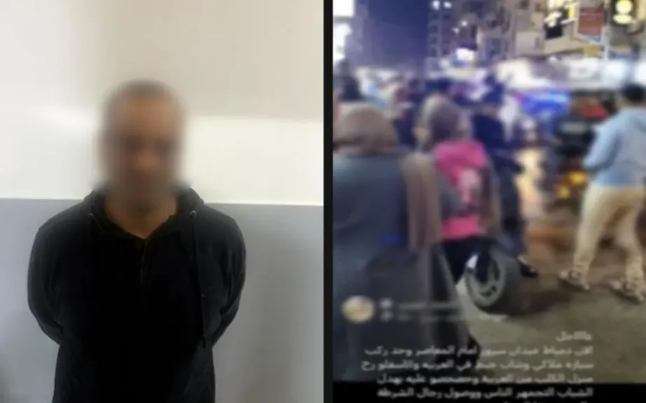 ضبط مالك كلب تسبب في إصابة شخص بجروح متفرقة بدمياط