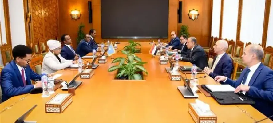 مشاورات مصرية صومالية لدعم الشراكة الاستراتجية بين البلدين