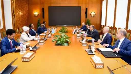 مشاورات مصرية صومالية لدعم الشراكة الاستراتجية بين البلدين